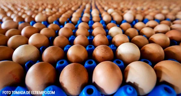 Valle y Cauca, los mayores productores de huevo del país, Invest Pacific