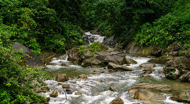 La inversión en el 2025 refuerza el liderazgo del Valle del Cauca en materia de sostenibilidad ambiental