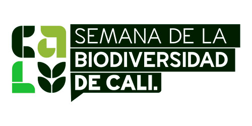 Valle Verde 2025, Invest Pacific