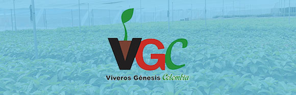 Viveros Génesis Colombia